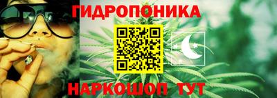 соль ск Будённовск