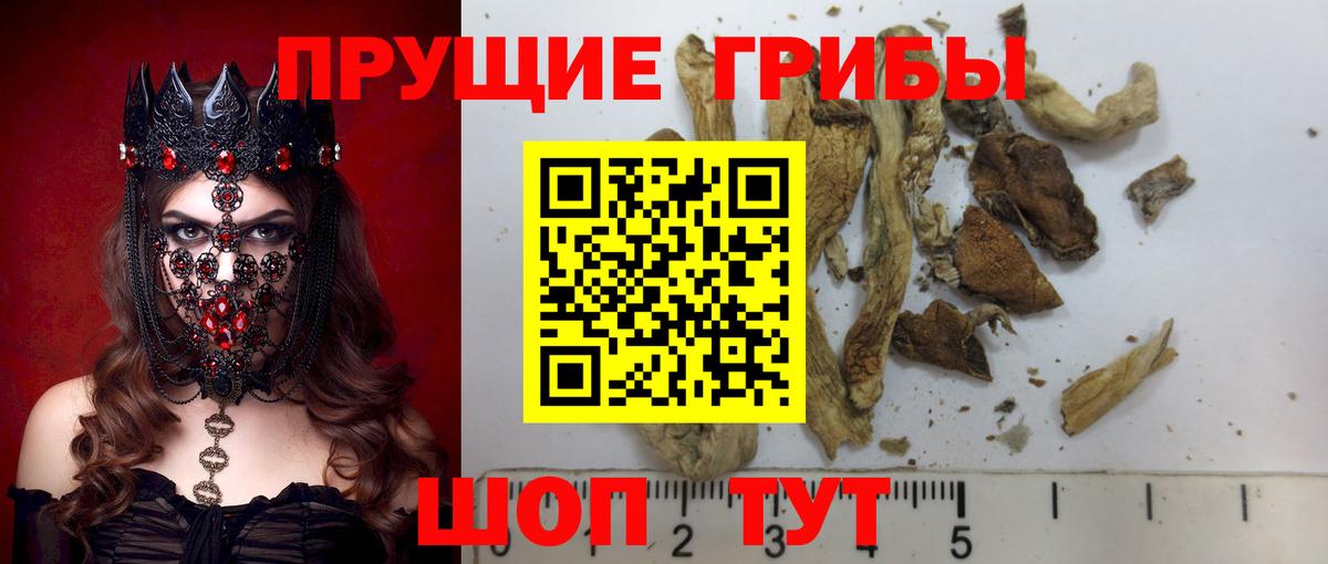 Тихвин  Псилоцибиновые грибы ЛСД  Вход с VPN 